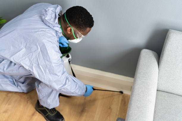 Emergency Pest Control Services in Cabin John, MD